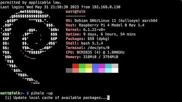 How to update your pihole