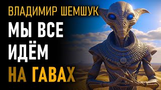 Мы все идём на гаввах. Владимир Шемшук