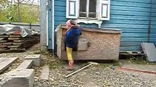 Дети и Животные. Нифига не БОЯТСЯ! Овчарка против детей... Учитесь взрослые! Дети и Животные. Нифига не БОЯТСЯ! Овчарка против детей... Учитесь взрослые!