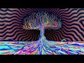 First Time's the Best : Timalyn : MDMA Ecstasy, E, X