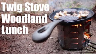 Twig Stove Omelette in the Woods.  Honey Stove.  Cast Iron Skillet.  New Years Day Walk.