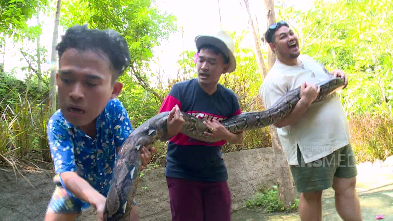 Hampir Kehabisan Suara, Anwar Dihadapkan Dengan Ular | Best Moment Brownis Jalan Jalan (30/5/20)