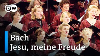 Bach: Motet Jesus, my joy (Jesu, meine Freude) | RIAS Kammerchor, Akademie für Alte Musik &amp; Rademann