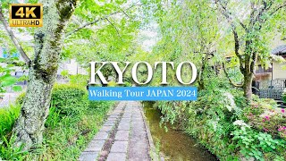 🚶‍♂️Strolling the Path of Philosophy in Kyoto - A Journey of Tranquility and Beauty