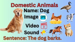 domestic animal Names || List of domestic animal Names (Image, video, sounds and sentences)