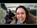 8 COSTUMBRES Noruegas 🐶 Mexicana en Noruega | Vlog 43