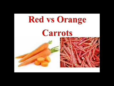 Red vs Orange