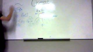 Osmosis Part 1
