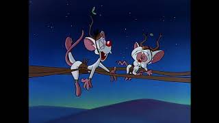 A Pinky And The Brain Christmas Directors Cut