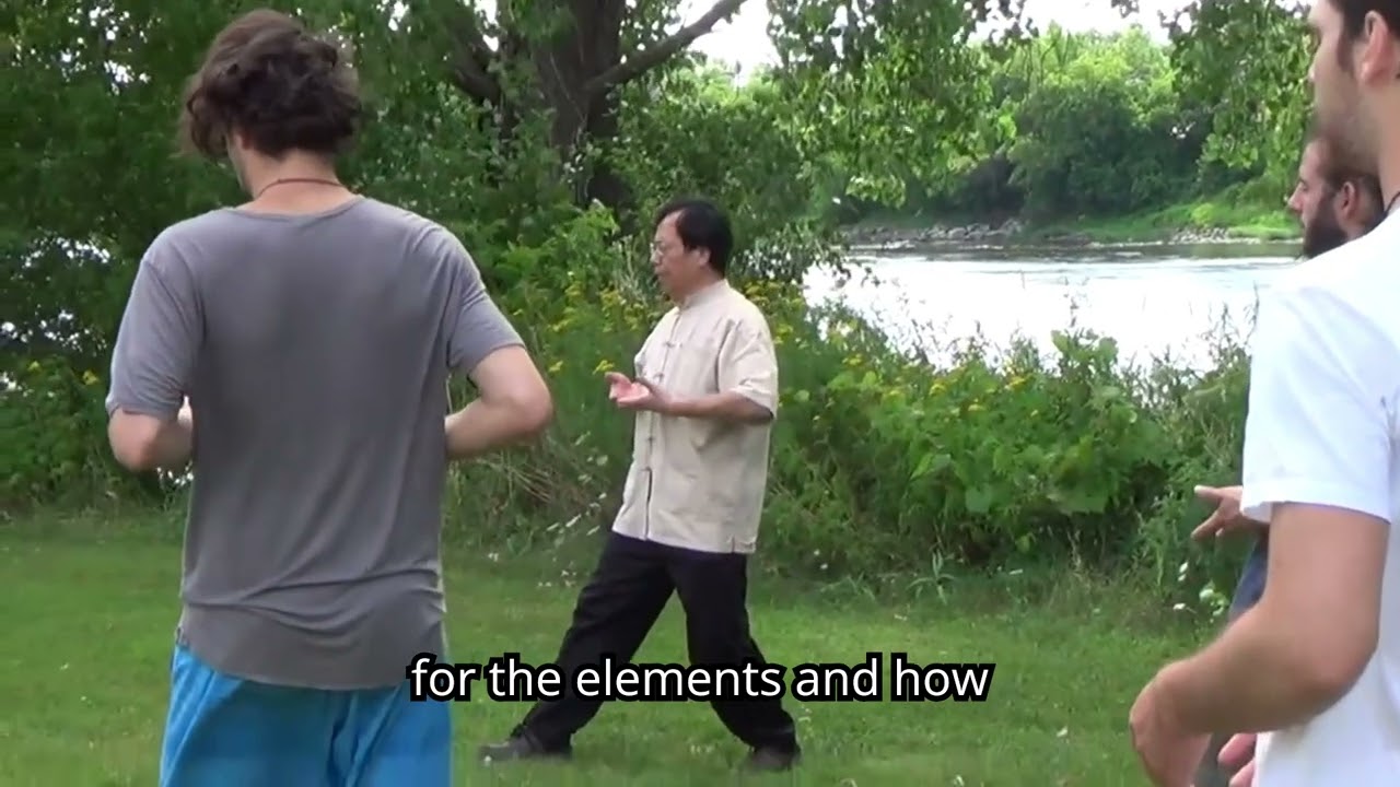 5 Element Palm Healing Qi Gong Workshop - video 90 seconds Introduction.