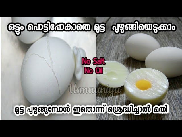 Shorts Nutricook Rapid Egg Cooker Review, By Meghana Dachuri, Honest  Review