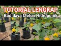 Tutorial Lengkap Menanam Melon Hidroponik Sistem Drip Irigasi (Irigasi Tetes)