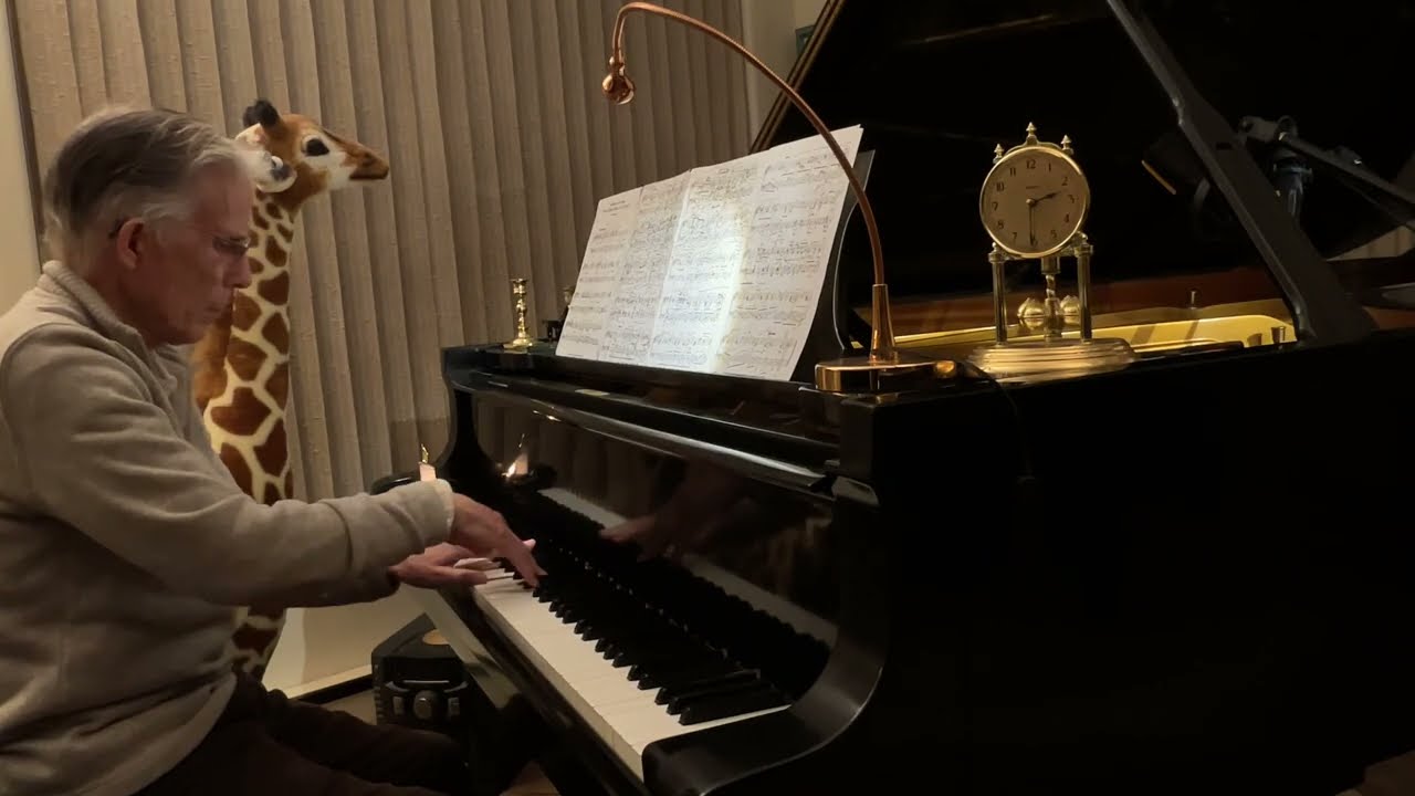 Any idea what beautiful composition by Brahms this is?🌾❤️ in its middle  and ending