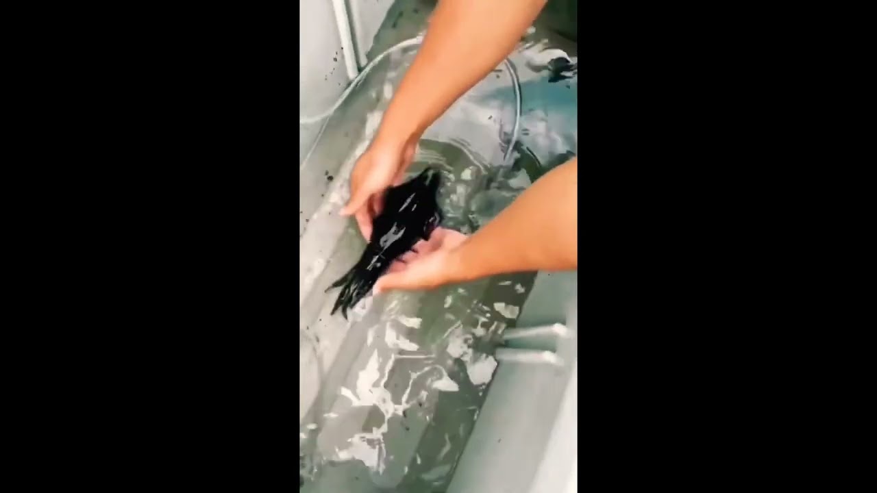 Let Me Be Clear Meme