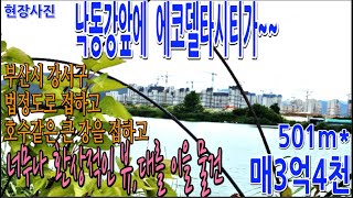 NO[002] 부산광역시 대저동 맥도강을 접하고 건너 첨단도시 에코델타시티가 파노라마처럼 보이는 천혜의 환경토지 501m*  매3억4천