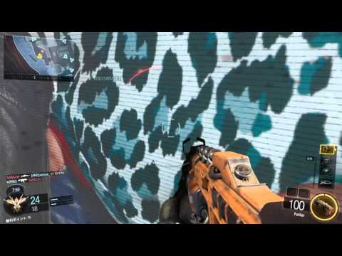 【BO3】戦場での人身事故 ？(GIユニット)