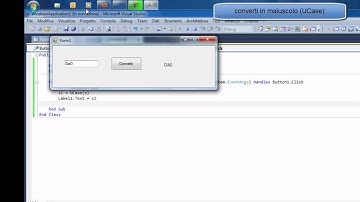 Conversione in maiuscolo-minuscolo le stringhe(U-LCase)(VB)