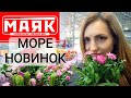 🔥МАЯК - ЧТО И ГДЕ КУПИТЬ К 8 МАРТА🌷МАГАЗИН СУПЕР НИЗКИХ ЦЕН 🔥ОБЗОР🎁ПОДАРКИ 🌷🔥МОРЕ НОВИНОК🤍#НАША ТАНЯ