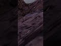Sub pls