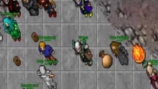 TIBIA CELESTA DP VENORE