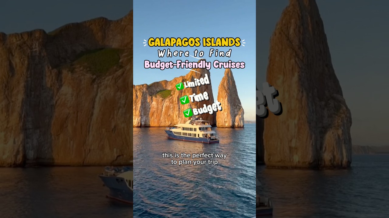 📌Where can you find the best Galapagos cruise promotions? It’s easier than you think! 👇