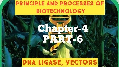 12th bio Botany chapter-4 PRINCIPLE AND PROCESSES OF BIOTECHNOLOGY (DNA LIGASE, VECTOR)