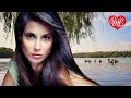 УТКИ ♥ ДУШЕВНЫЕ ПЕСНИ ОСЕНИ WLV ♥ ОСЕННЕЕ НАСТРОЕНИЕ ♥ RUSSIIAN MUSIC HIT WLV