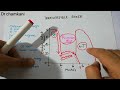 CVS 248 || Irreversible stage of shock | Circulatory shock Mp3 Song