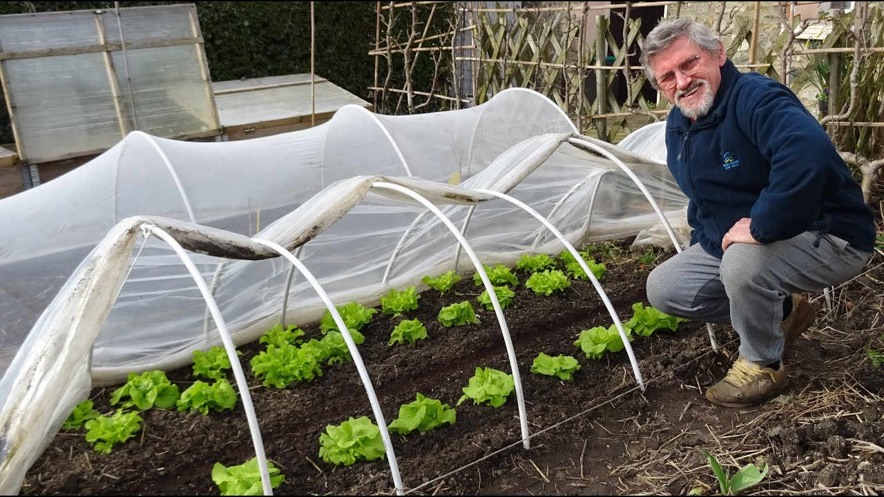 le 04/03/2024 : visite et conseils au jardin