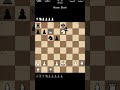 let play chess ♟️