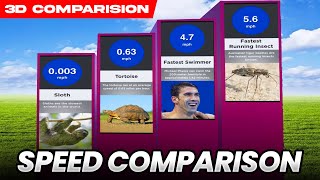 Speed Comparison 3D: Unleashing the Velocity of the Fastest Man-Made Objects!