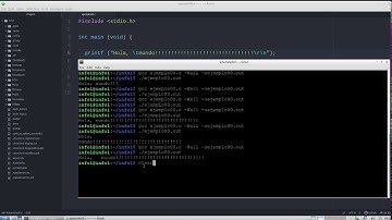 Lenguaje C: Entendiendo las secuencias de escape en el printf