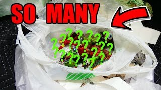 This BAG Has So MANY in it!!! Gamestop Dumpster Dive Night #737 screenshot 4
