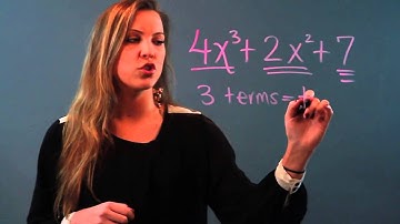 How to Describe a Polynomial Equation