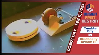 Blueberry Cream Pi Vs Tumble Dry Spring Robot Day 2023