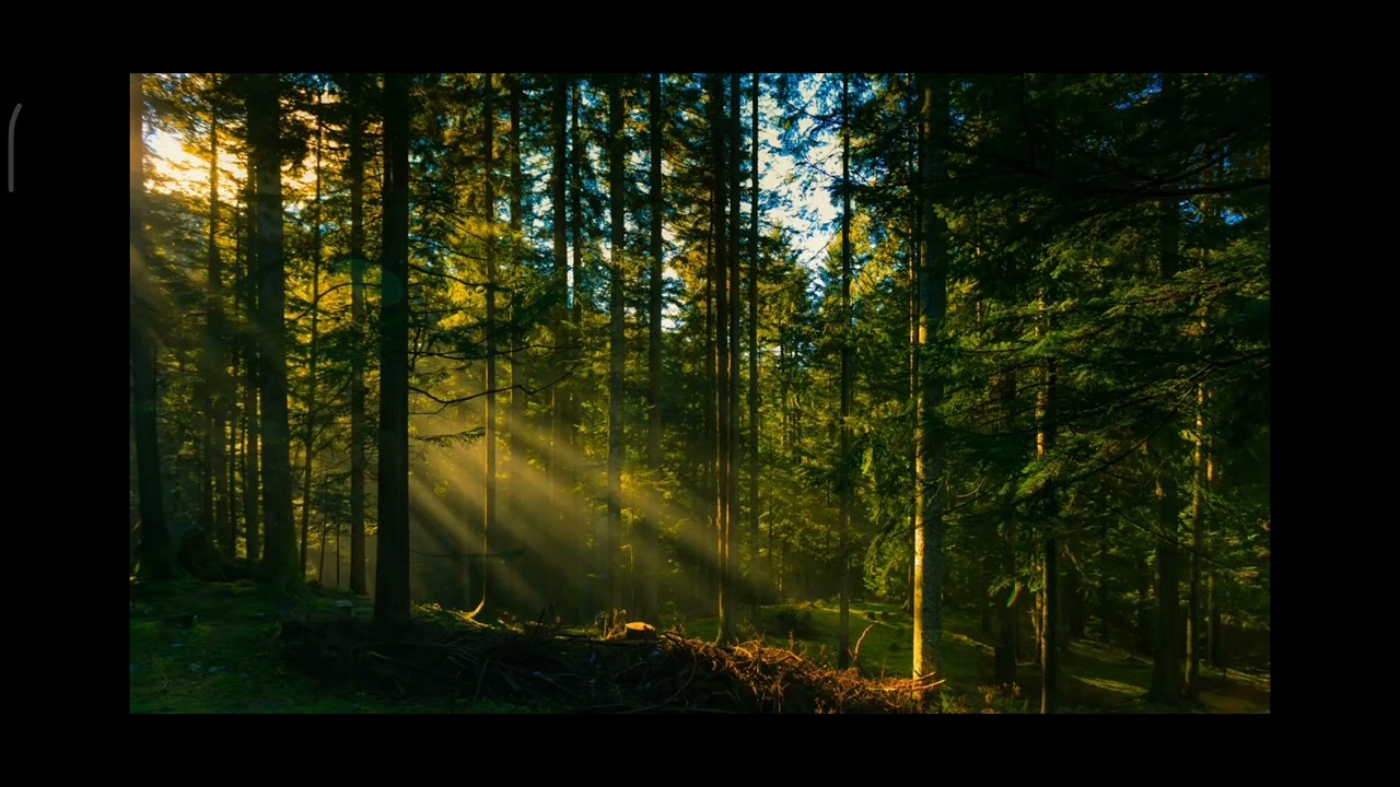 Стихи Пастернака - YouTube