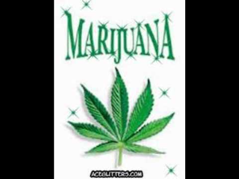 Marijuana - Kid Cudi LYRICS