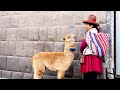 The Streets of Cusco