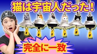 ガシャポン対決！ 完全に一致シリーズ 猫は宇宙人だった！【クレーンゲーム】番外編