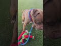 Meet timestamped Fendi! Acctphilly.org