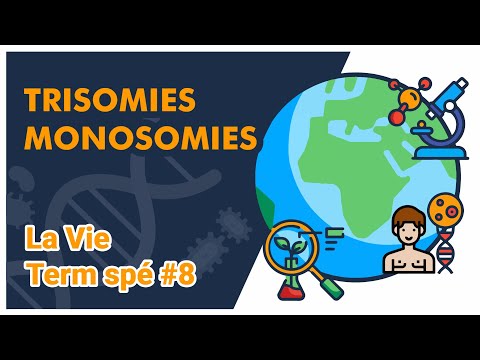 Vidéo: Qu'est-ce que le syndrome de la trisomie 8 ?