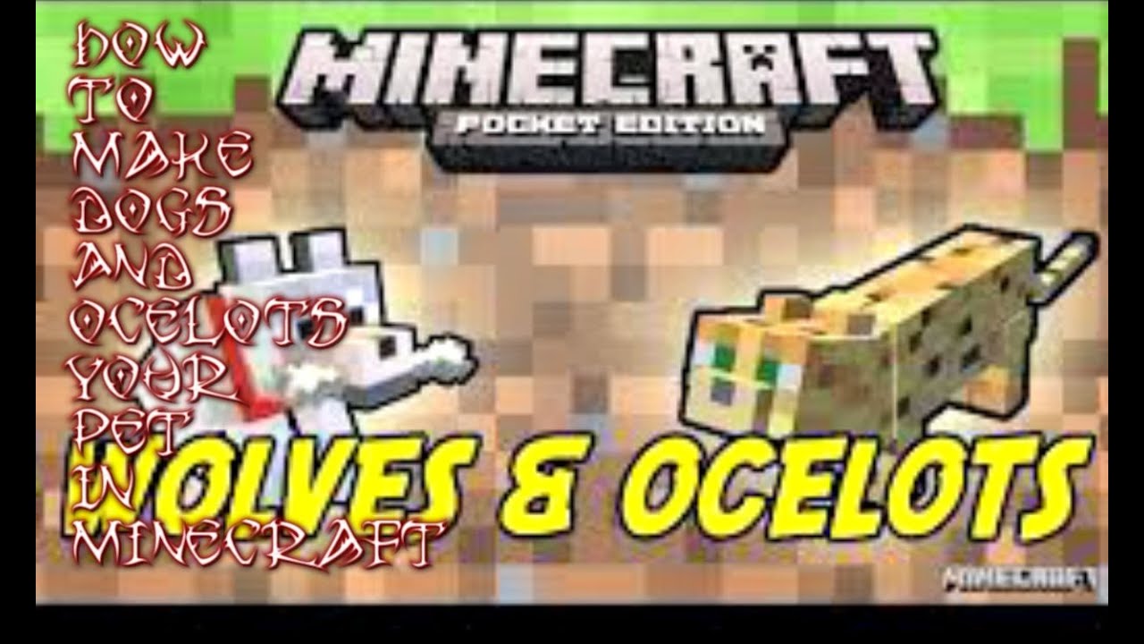 How to make a dog ,ocelot your pet in minecraft - YouTube