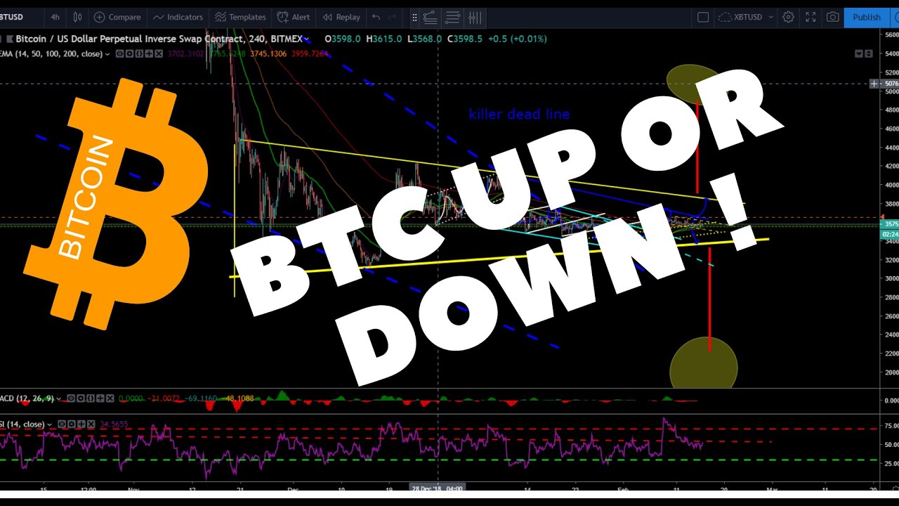 Bitcoin Price Prediction And Bitmex Tips Today - 