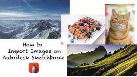 How to Import Images on Autodesk Sketchbook