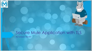 Secure Mule Application with TLS