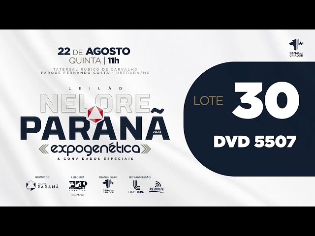 LOTE 30 DVD 5507