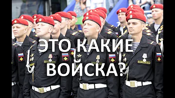 Какие войска в России носят чёрные береты