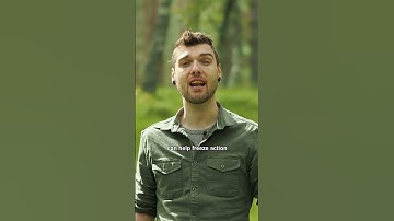 Wasps up close! 🐝🔍 Macro Photography with Geraint Radford 📸 #LloydoftheFlies #Shorts