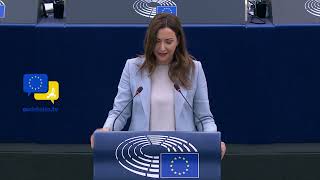 Europe’s Self-Destructive Policies Are to Blame, Not Trump’s Tariffs! MEP Petra Steger debates