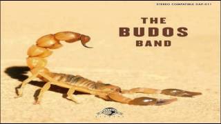 The Budos Band Chicago Falcon